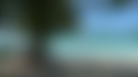 The World Triathlon Development Week and Regional Cup in Palau.