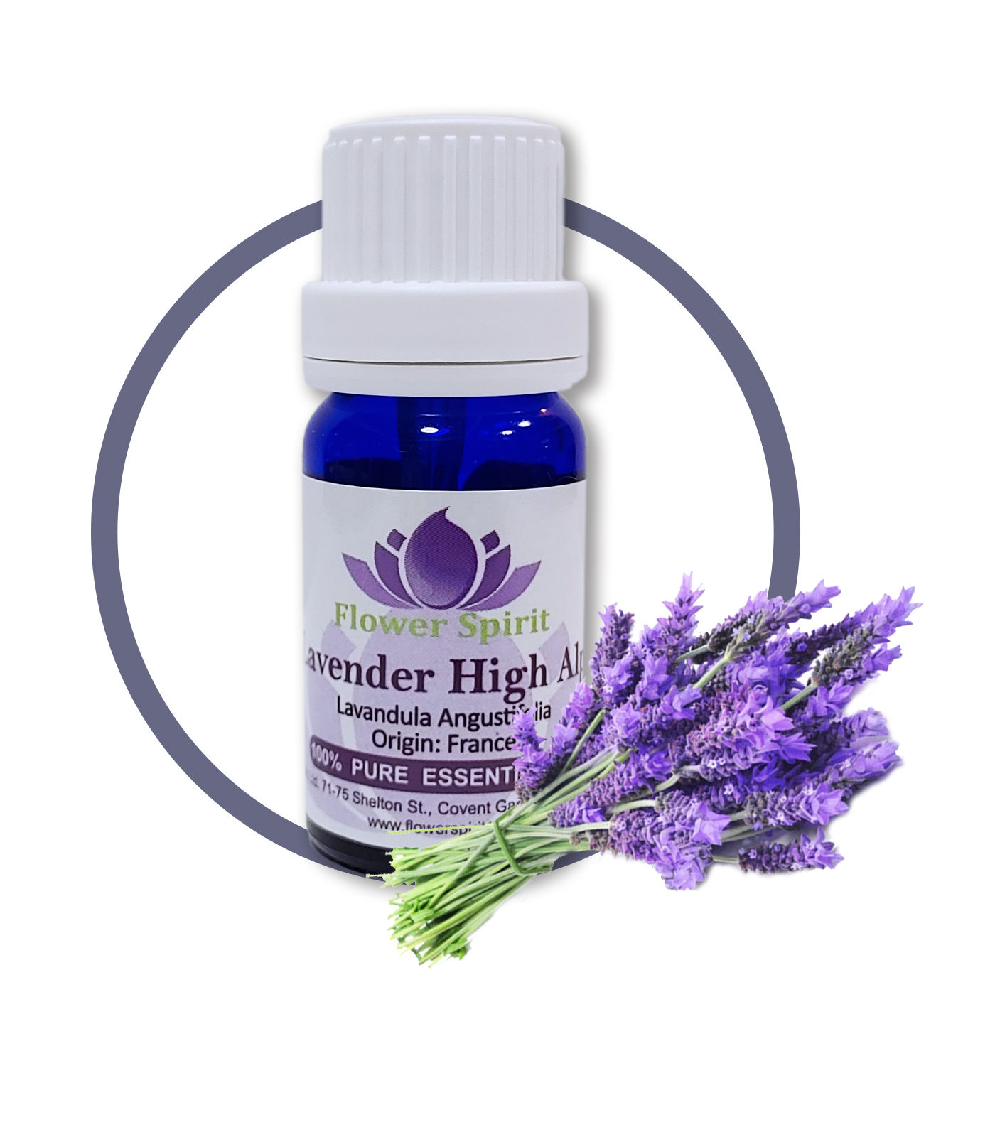 Lavender High Alps 高山薰衣草 10ml