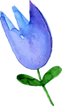 flor