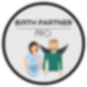 Birth Partner Pro..png