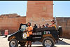 flashback safari.jpg