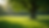 Eye-level view of a manicured tree landscape