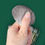 Thumbnail: 14pc Emerald green brush set 