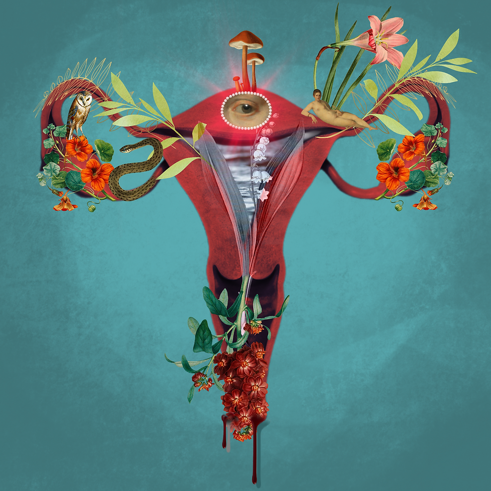 Untitled_Artwork 77.png