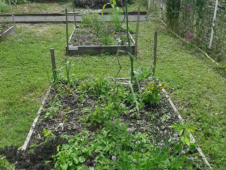 UN JARDIN COMMUNAL