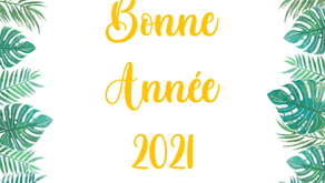 MEILLEURS VOEUX 2021