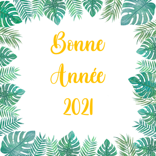 MEILLEURS VOEUX 2021