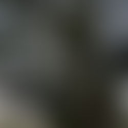 To speak or not to speak