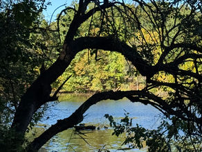 My Third Bottom Line