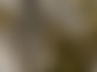 My Second Retirement