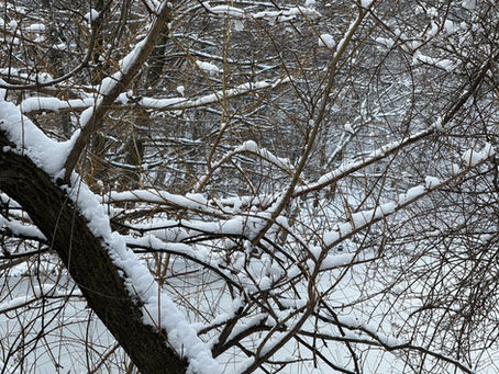 The Streets of Minneapolis