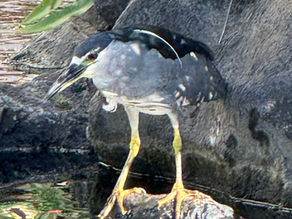 Is Everyone Really Doing Their Best?