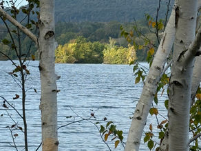 Roshi Kennedy’s “If Not, What Is It?”