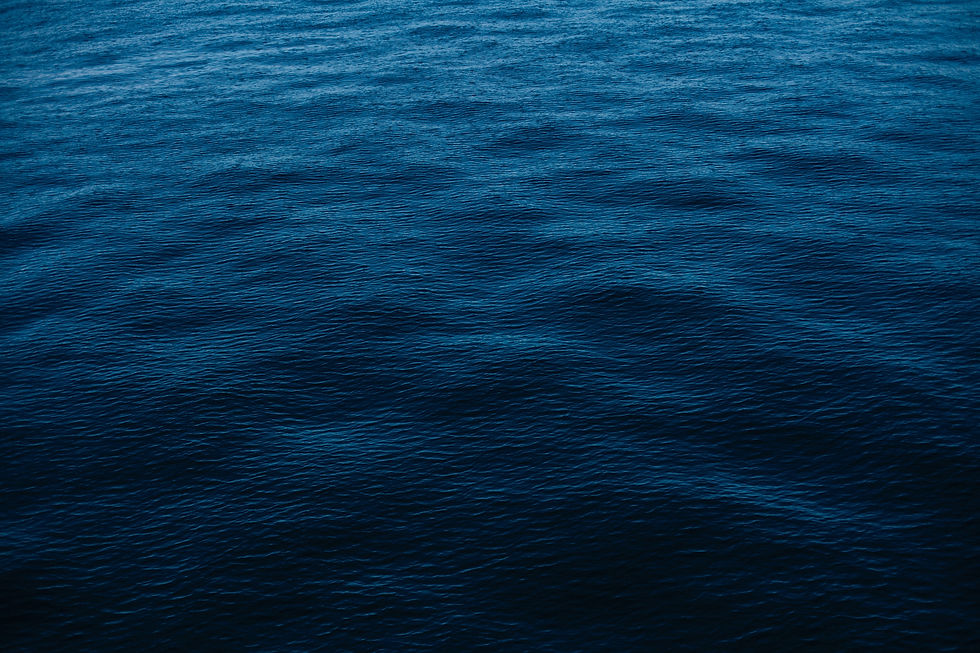 pexels-lisha-riabinina-37487.jpg