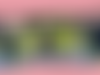 Water and Walking Challenge!