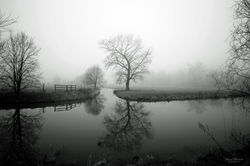 David Buisine Photography