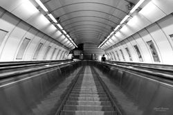 David Buisine Photography