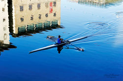 David Buisine Photography