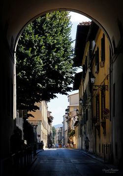 David Buisine Photography