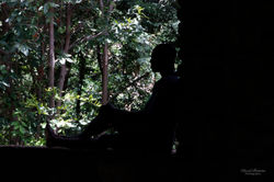 David Buisine Photography