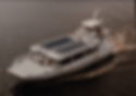 CRUISE SHIP TENDERS