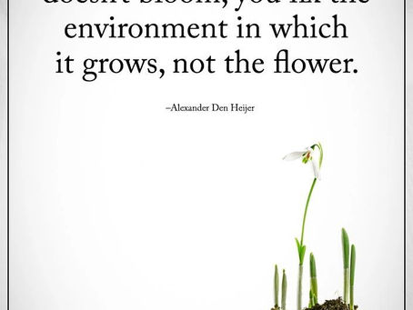 Expand your mindset and unlock personal growth!