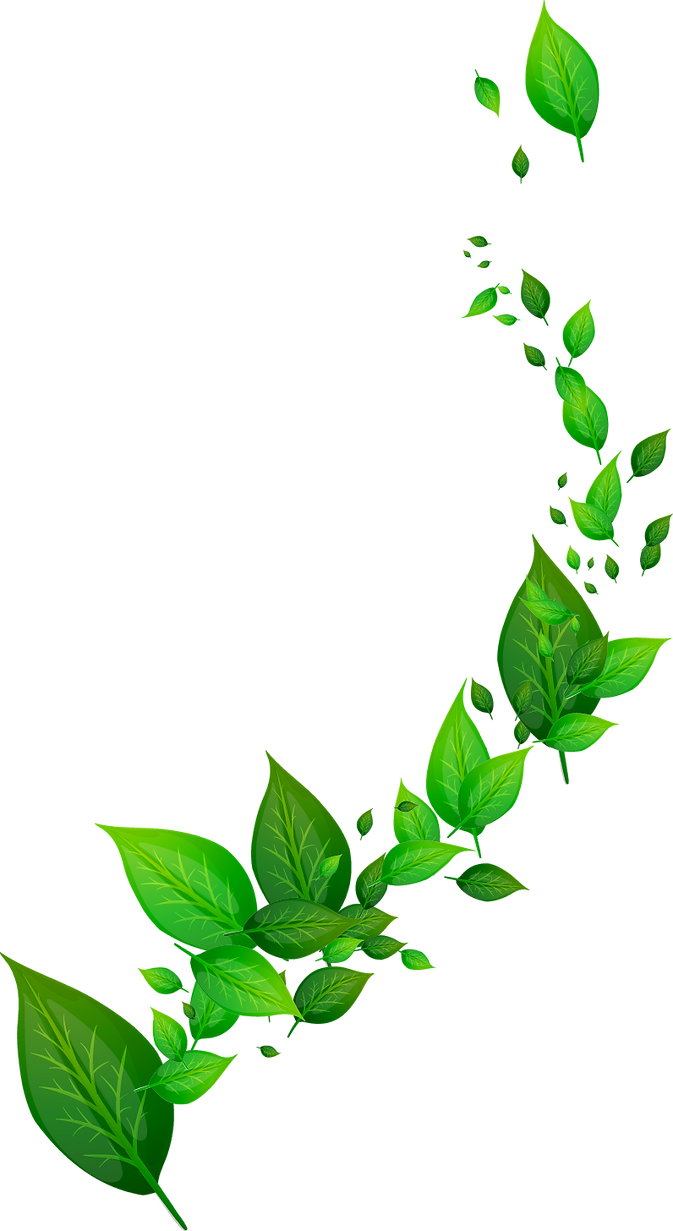 pngfuel.com (1).png