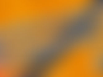Ben jij onze nieuwe penningmeester?