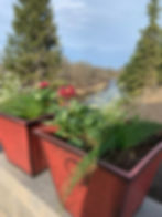 RIVERVIEW