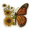 Thumbnail: Monarch butterfly with sunflowers
