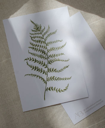 Das Bild zeigt ein Aquarellbild eines Farns.