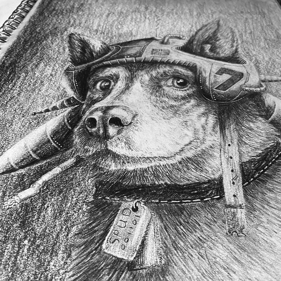 Thumbnail: Custom pet portraits.