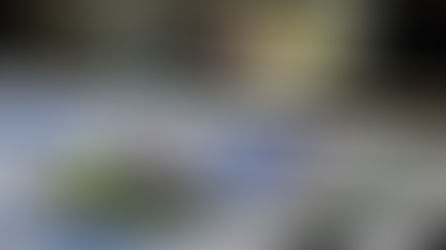 Mitä viikossa voi ehtiä?