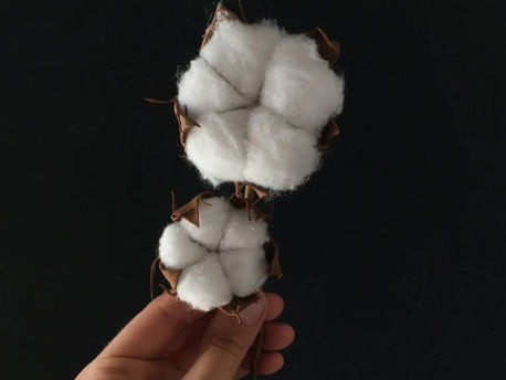 How the Fashion Industry is Misusing Sustainability Metrics
