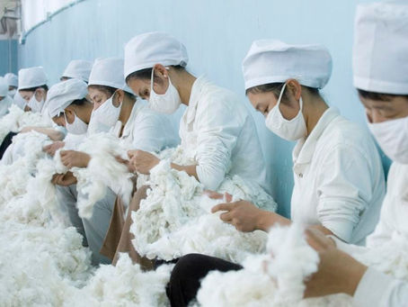 Environmental Impact Assessments Could Undermine Sustainable Fashion—Experts Explain Why.