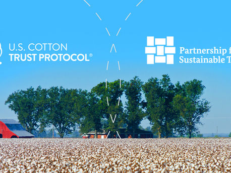 US Cotton Trust Protocol approved as standard for sustainable cotton