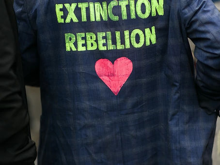 Sustainability Update – 3 Pillars To Revolutionize The Fashion Industry