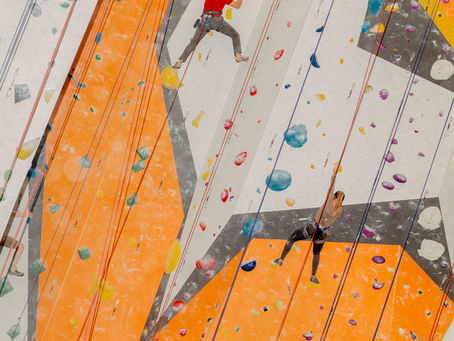 Social Climbing Has a Whole New Meaning