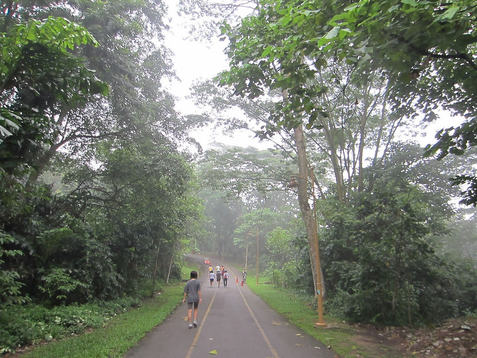 Bukit Kiara Park