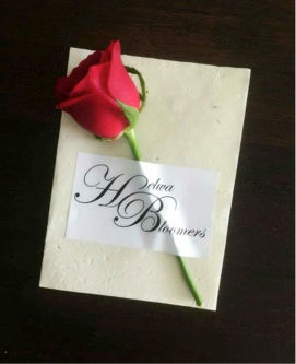 rose for Valentines Day