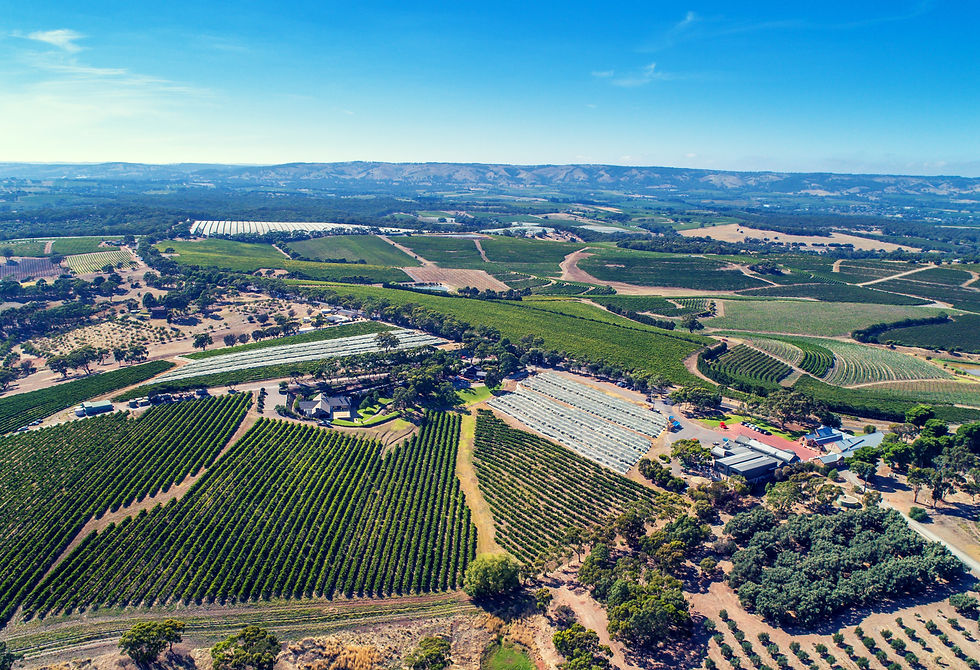McLaren Vale, Australia