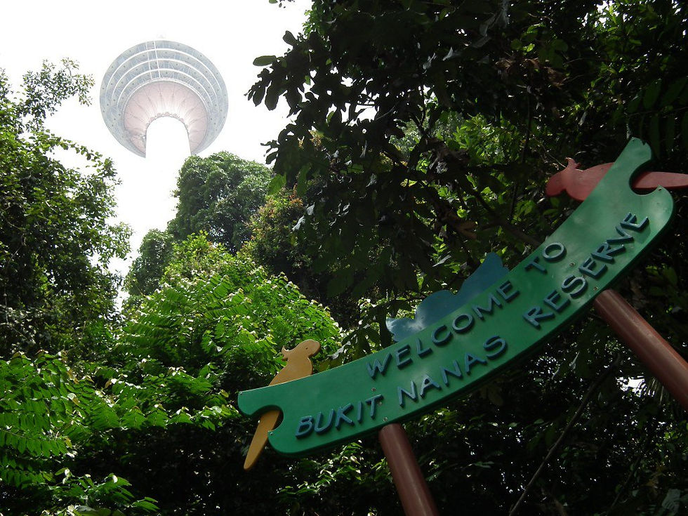 Bukit Nanas Reserve Park