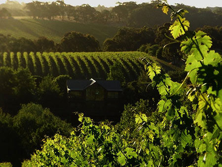 Geoff Hardy Wines