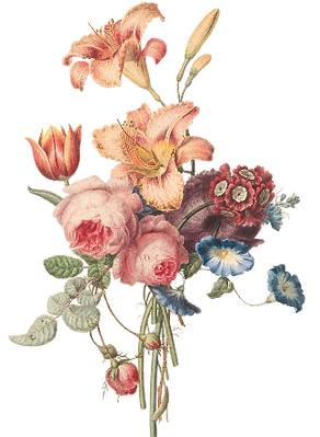 Drawing of Flower Arrangement