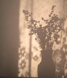 silhouette of plants illustration_edited