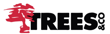 Logo (2).png