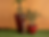 IMG_0743.png