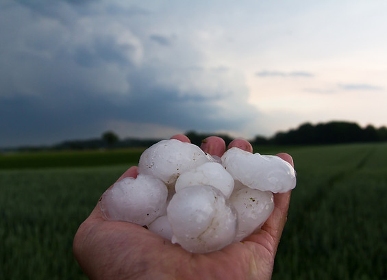 roof damage, hail damage, hail, charleton, isle of palm