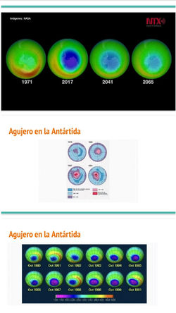 Torres Tomás, Giampaoli Enzo, Angeli Álvaro y Scala Santiago. 4