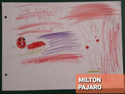 MILTON JESUS PAJARO